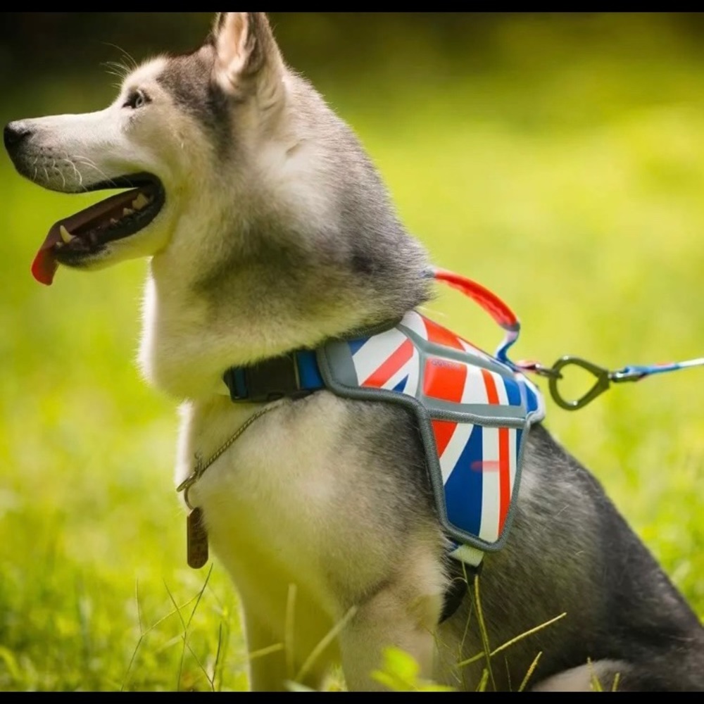 Pet Comfort Massage Harness